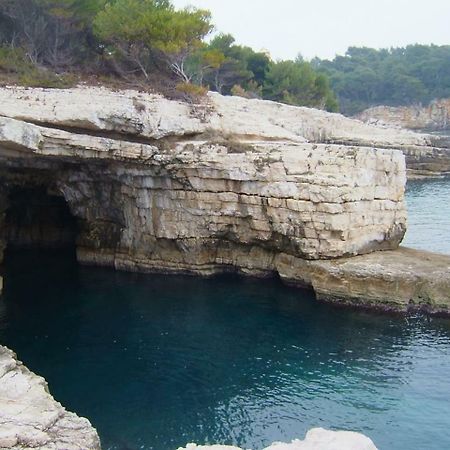 Apartment Zora Pula Dış mekan fotoğraf